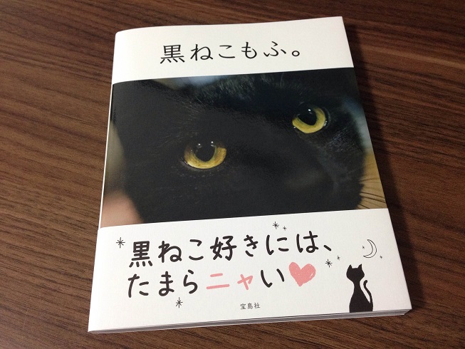 photo (4)