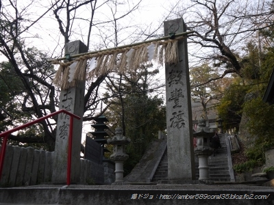 P1100850 (400x300)