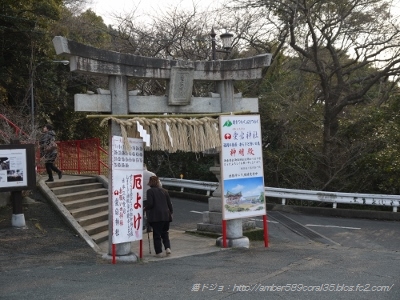 P1100809 (400x300)