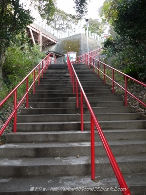 P1100811 (300x400)