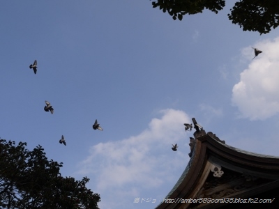 P1100815 (400x300)