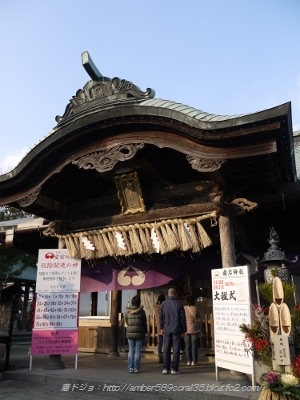 P1100817 (300x400)