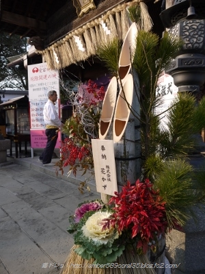 P1100821 (300x400)