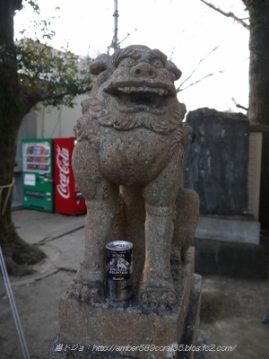 P1100843 (300x400)