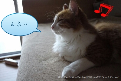 PicsArt_1362824639516.jpg
