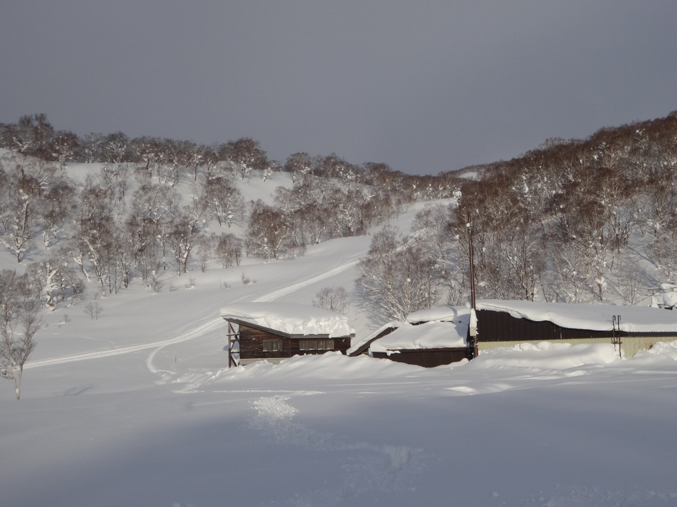 20140123DSC00711 (7)
