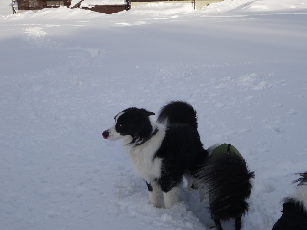 20140123DSC00711 (8)