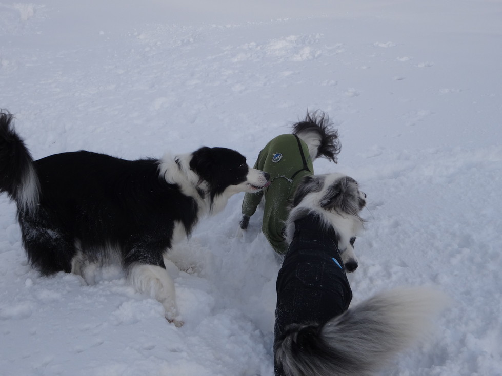 20140123DSC00711 (9)