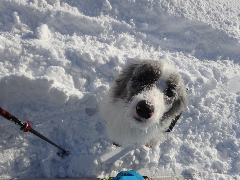 20140123DSC00711 (10)