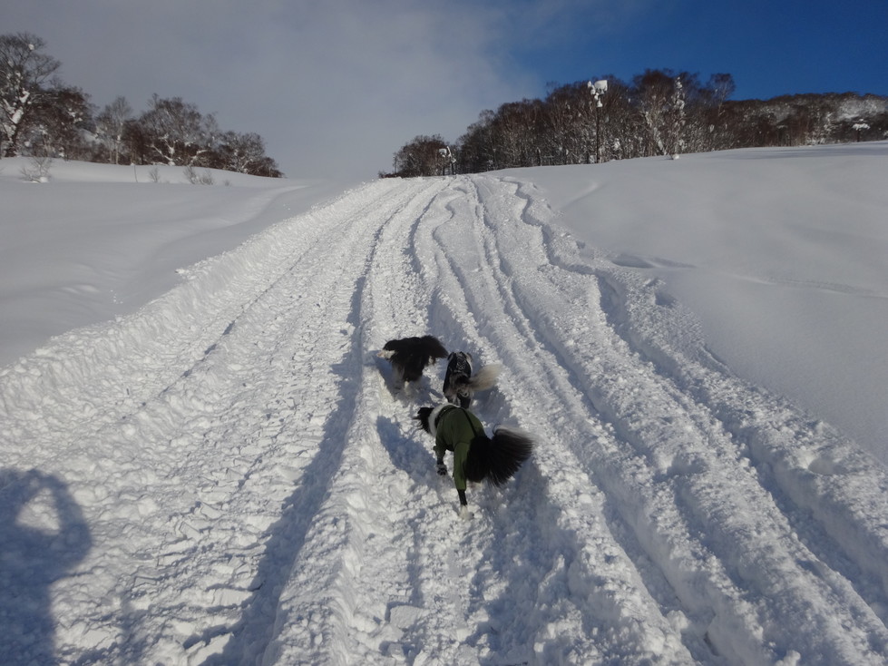 20140123DSC00711 (11)