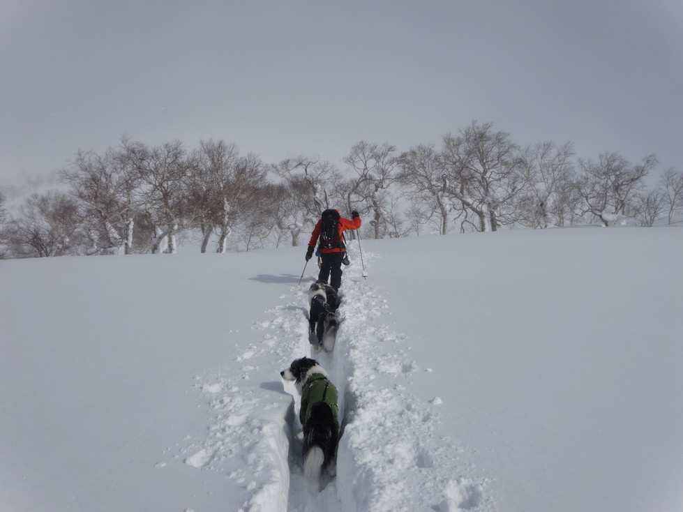 20140123DSC00711 (13)