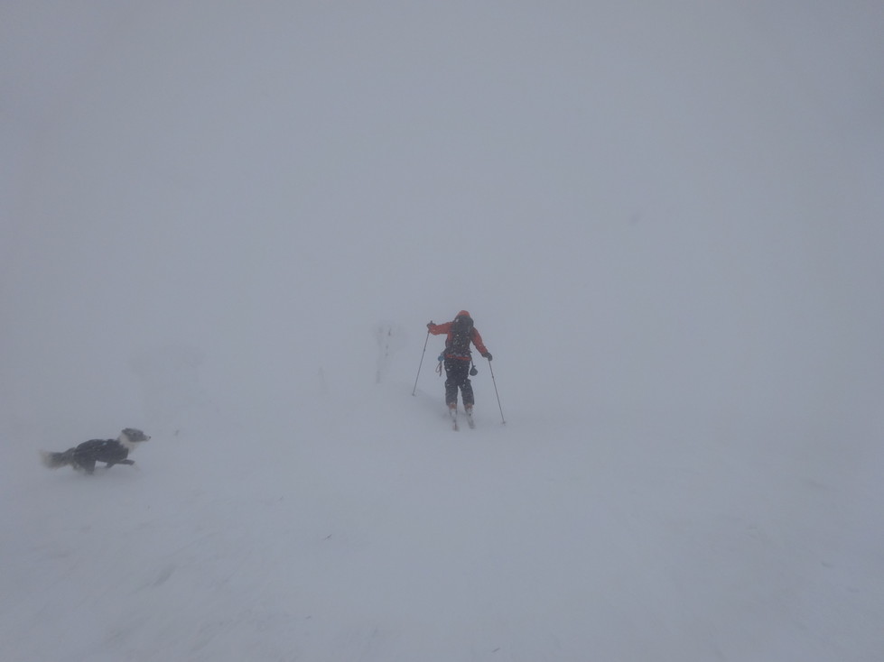 20140123DSC00711 (16)