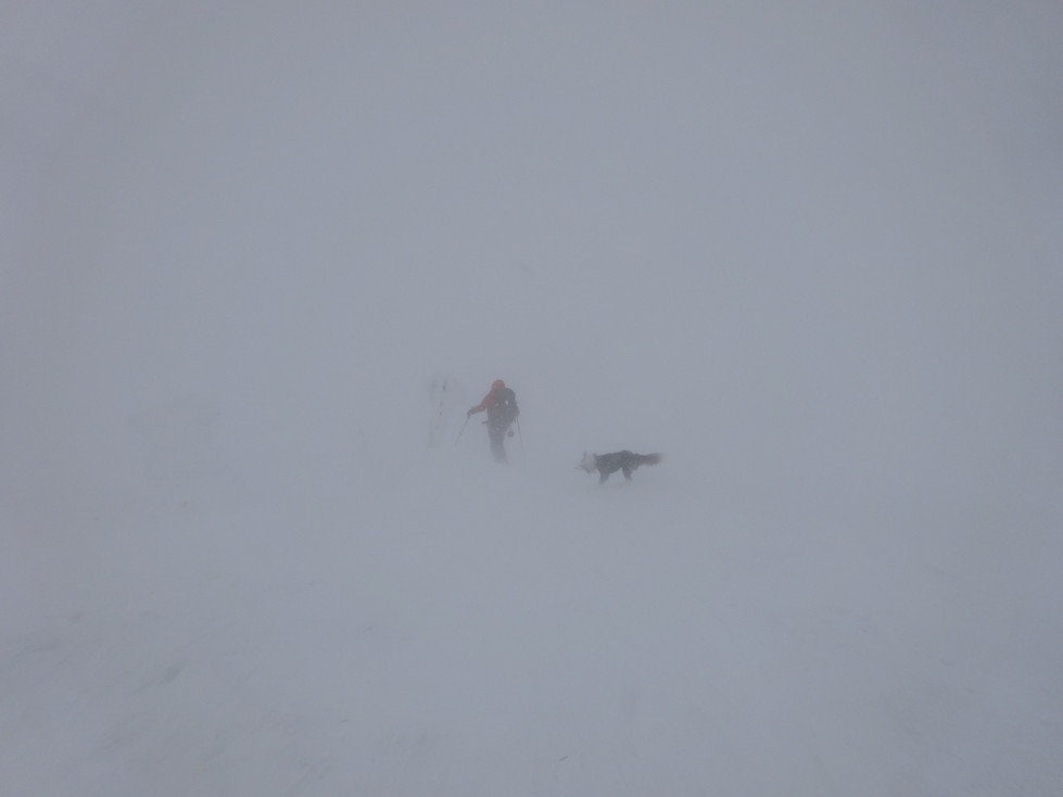 20140123DSC00711 (18)