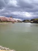 035_20130407234345.jpg