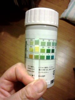 IMG01109.jpg