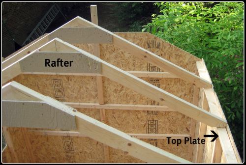 Diy Shed Roof Framing How to Build DIY by 8x10x12x14x16x18x20x22x24 