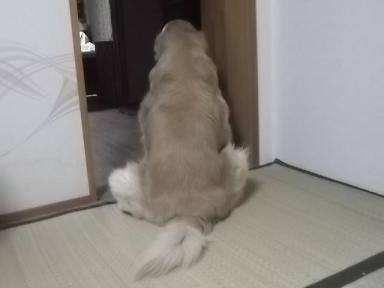 DSCF3575⑨