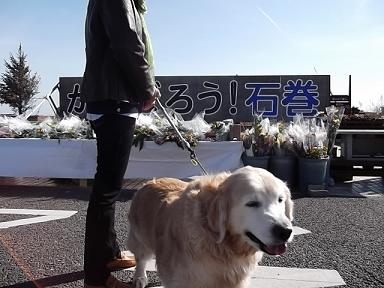 DSCF3597⑥