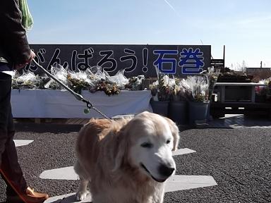 DSCF3598⑦