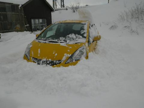 2012-1-4.jpg