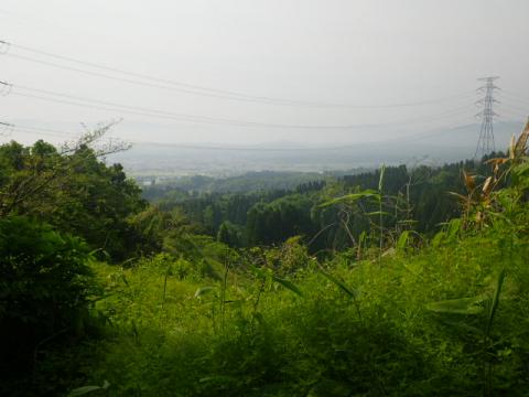 2012-5-21-4.jpg