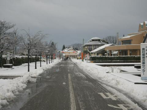 2013-2.jpg