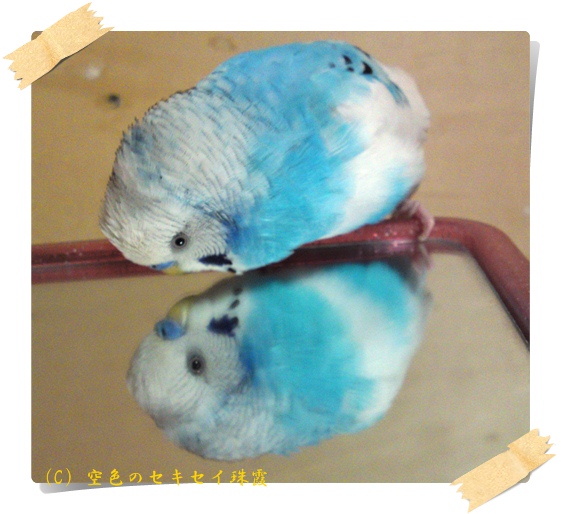 ごにょごにょ