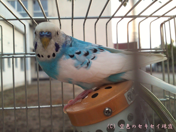 帰りましょう