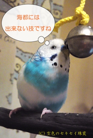 海都には出来ないワザですね