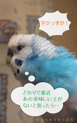 まじですか!