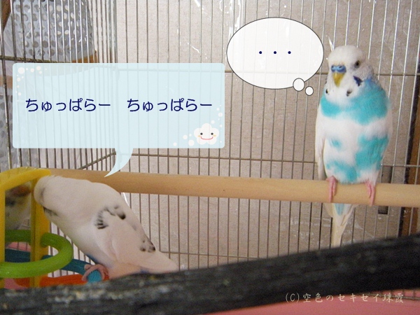 どうぞご自由におくつろぎください