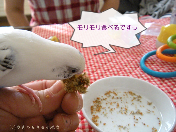 モリモリ食べるちーちゃん