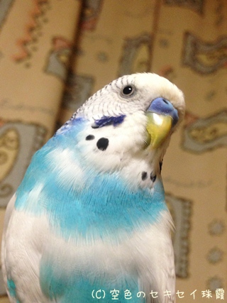 もともとの写真