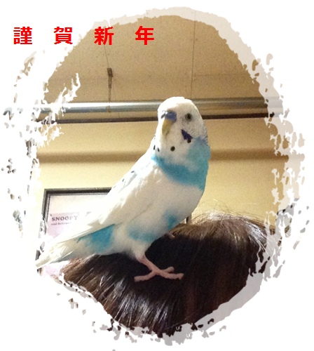 謹賀新年