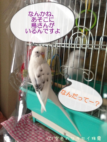ごにょごにょ