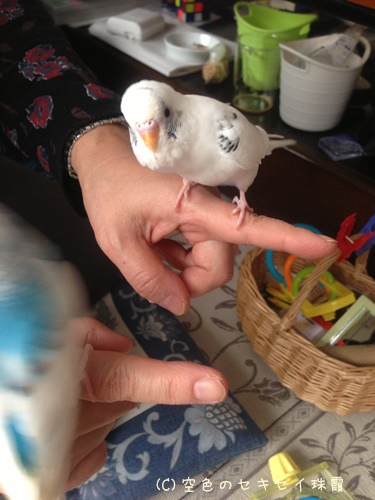 近づくふたり♪
