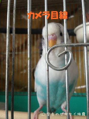 ポーズもキマってる