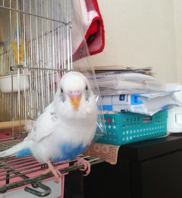 お外~
