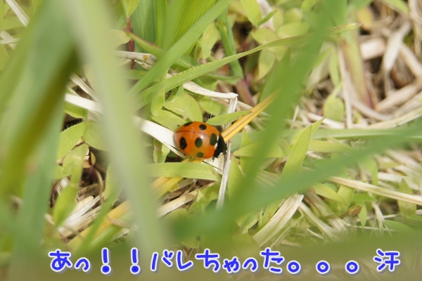 600S-DSC05232.jpg