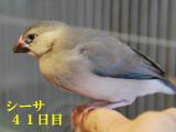 シーサ、手に乗っての撮影もたいへん!!