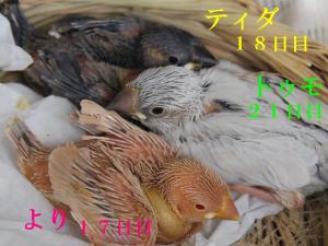 滞在先のホテルで食後兄妹でくつろぐ~!