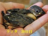 ティダ 居心地いいところ探して動くようになった!