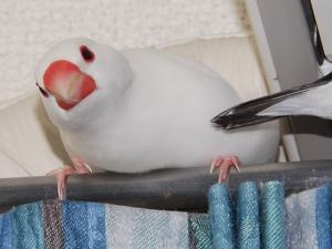 うらなり君!かわいいのぅ~~~!!