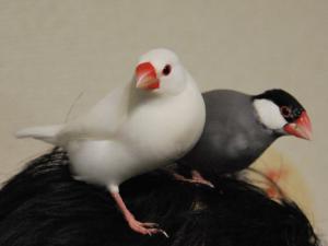 うらなり&ちぃちゃんは、、最近わがもの顔で強いんです!