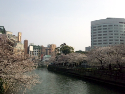 DSC_0125.jpg