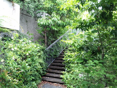 DSC_0327.jpg