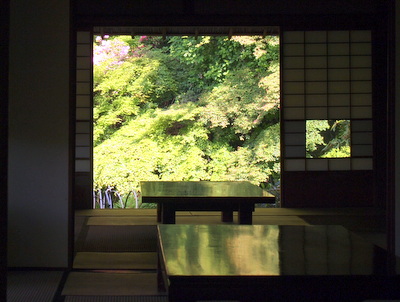 P5050701.jpg