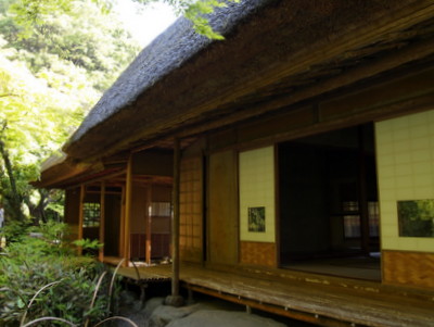 P5050716.jpg