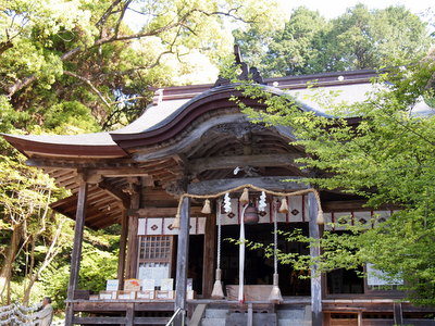 P5050737.jpg