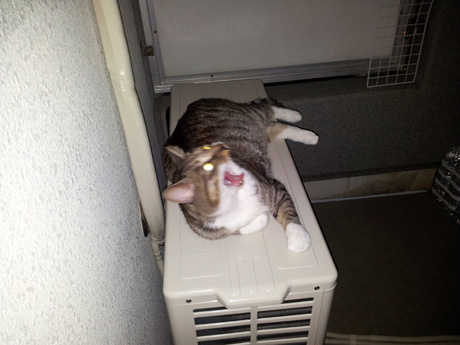 20120902_212814.jpg